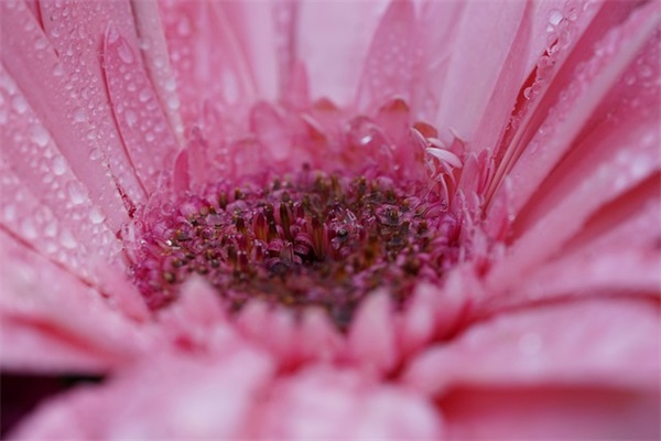 儿子名字库有寓意2024（男宝宝名字大全2024洋气）