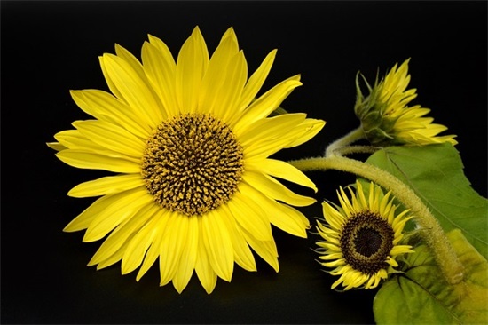 女性有涵养的微信名(精选110个)