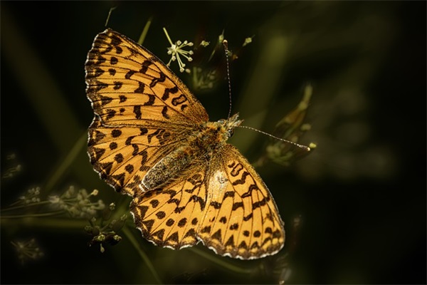 宝宝百天的祝福语简短 【宝宝百天简单祝福语】
