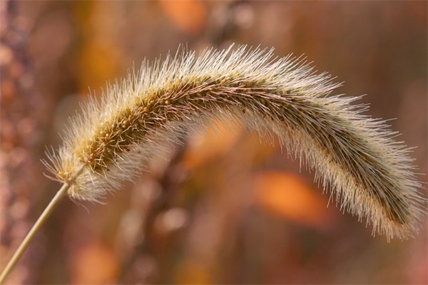 大学生给老师的祝福语 【大学生给老师的祝福语200字】