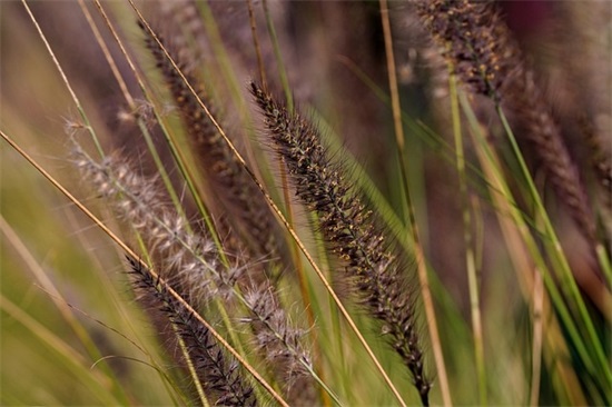 优雅的男士微信名字(共103个)