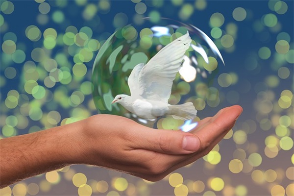 精选的老师结婚祝福语大全 【老师结婚祝福语简短一句话】