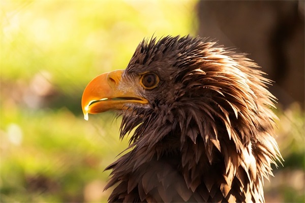 对好朋友的生日祝福语简短独特 【对好朋友的生日祝福文案】