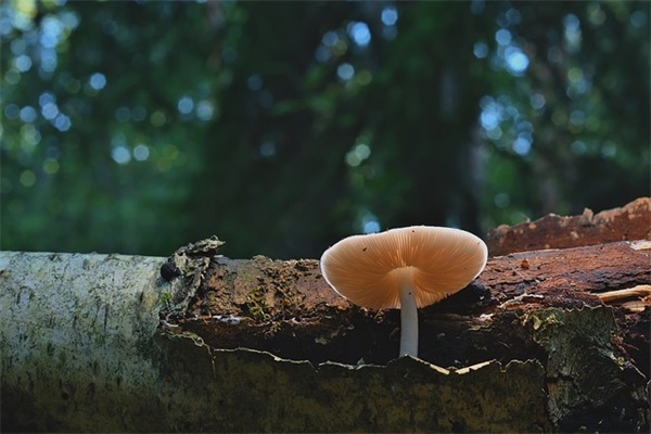 亲姐结婚祝福语 【结婚祝福语男方父母亲祝福语】
