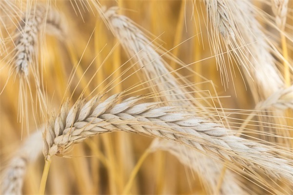 对小男生的祝福语 【对小男生的祝福语十字】