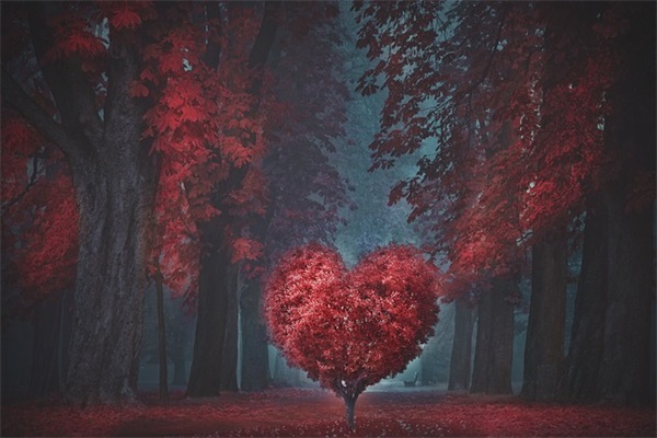 春节简短的祝福语大全 【春节简短祝福语2024最火】