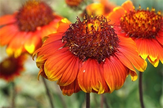 男生成熟的微信网名大全(共101个)