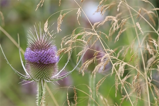 三个字微信网名简单又有内涵(共115个)