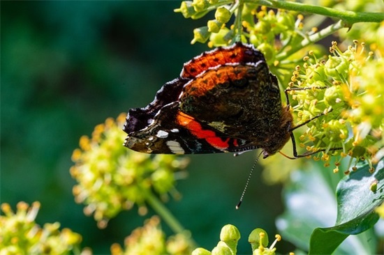 50岁爸妈微信网名大全(101个)