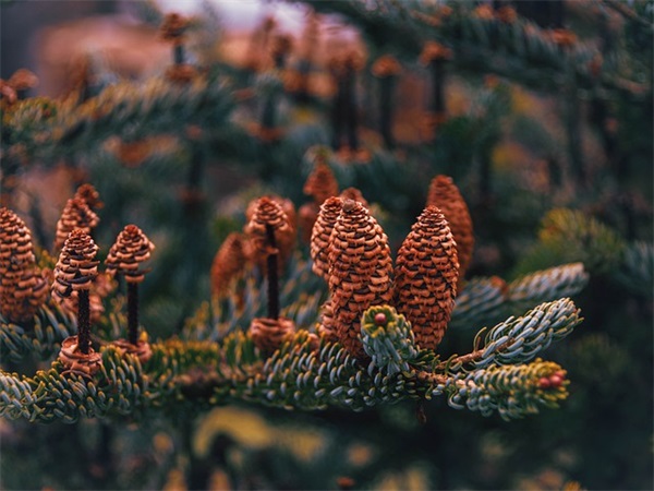 祝福公司祝福语大全 【祝福公司祝福语大全最新】