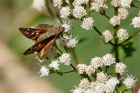 女生两个字微信网名(共128个)