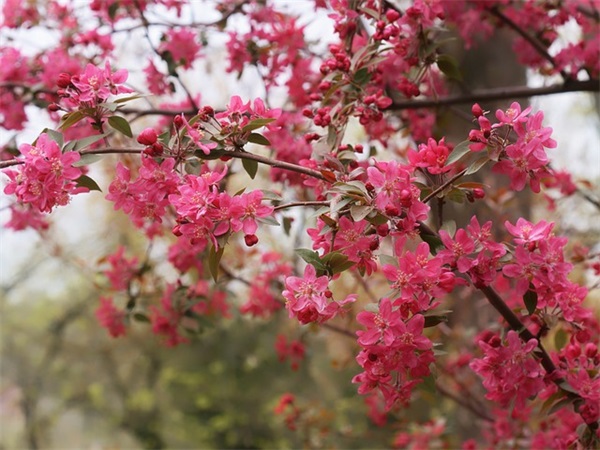 如何写生日祝福语 【如何写生日祝福语给好朋友】