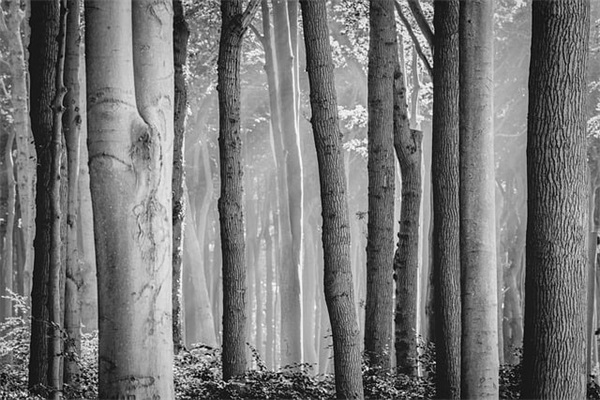 40岁过生日的祝福语-81句