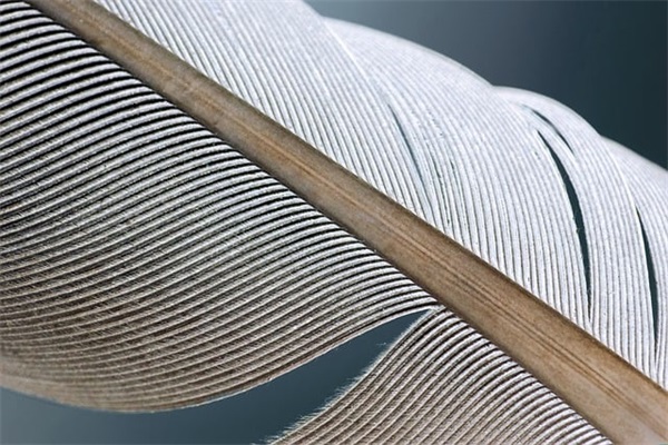 大孩子的生日祝福语 【大孩子生日祝福语2024最火句子简短】