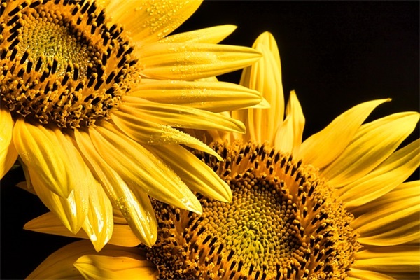 带别哐的网名昵称