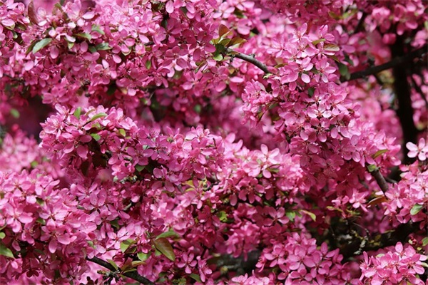 中间带天的网名