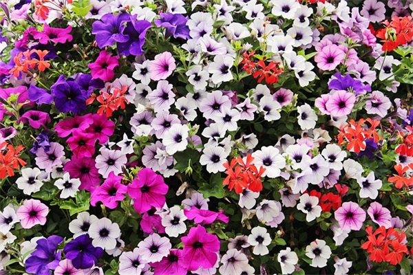 带幸福的成熟好听网名