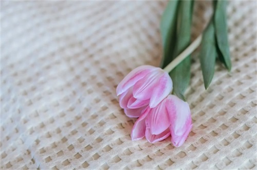 何字取个寓意微信名字(精选66个)