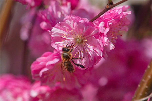 带匿迹的网名女生名字霸气