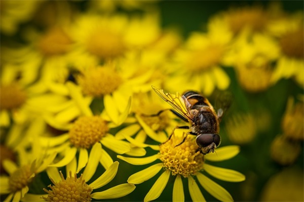 带时间的网名英文女孩名字