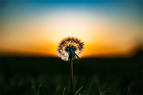 押韵网名【经典83句】