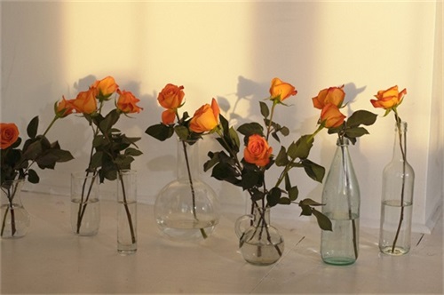 好听的微信昵称两个字(优选108个)