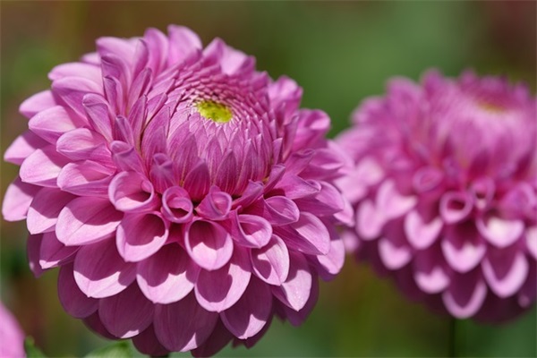 带女生二字的网名