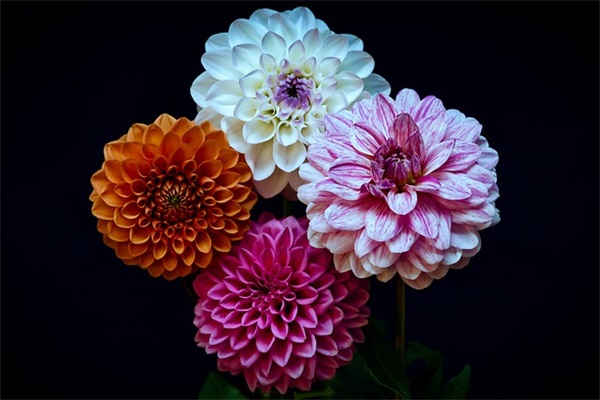 带修理员的网名女士名字