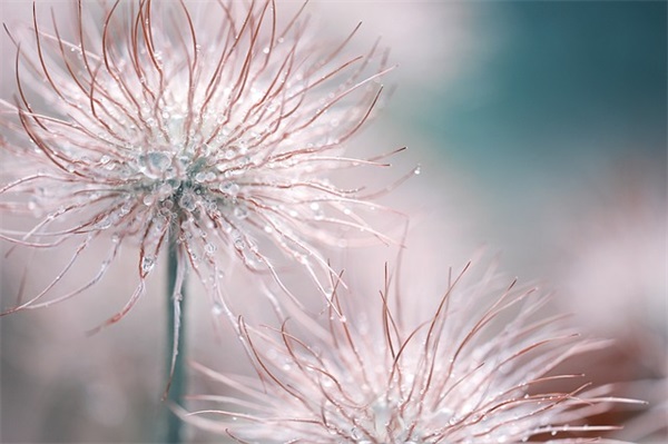 带永昼的网名女孩