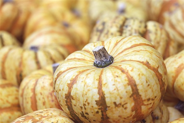 姓张带生肖的网名女生