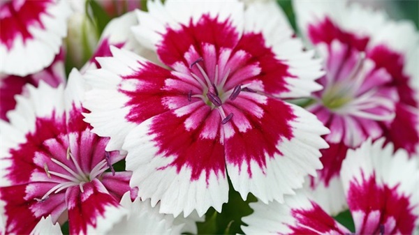 带骂人的id网名男