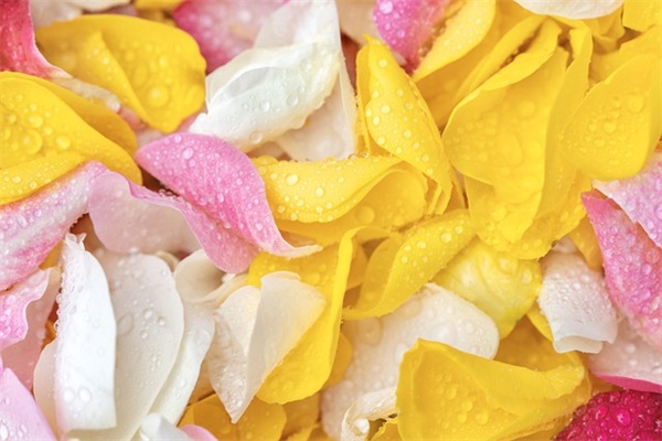 好看的衣服的英文名字（好听的英文名字衣服店）