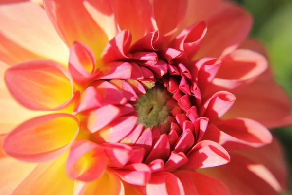 创意英文名（高端洋气的英文店名）