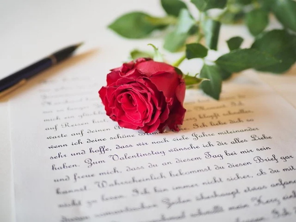 干果店起个响亮的名字（创意的有创意的干果店名字）