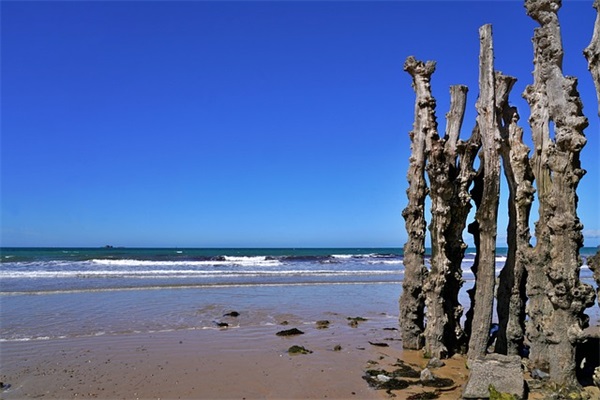 比较潮的龙虾店名字（好听龙虾店名字好听有创意）