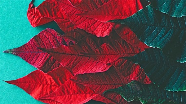 店铺名字大全（意境古朴高雅的店铺名字怎么取）