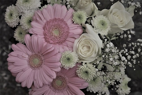 服装网店名字大全（服装网店该怎么取名）