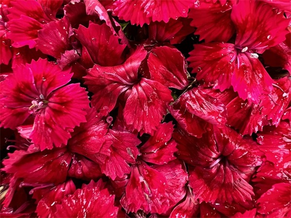 压抑不快乐的心情说说 心里压抑很烦躁的句子