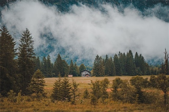 关于人生的句子