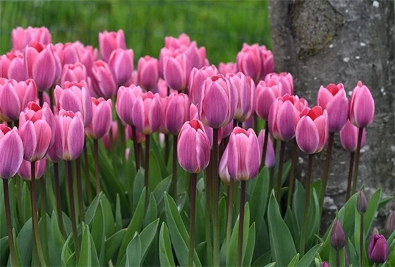 从头再来的励志句子