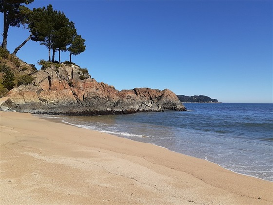 对朋友离别不舍的句子