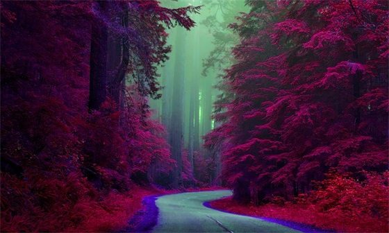 2024血浓于水的亲情句子