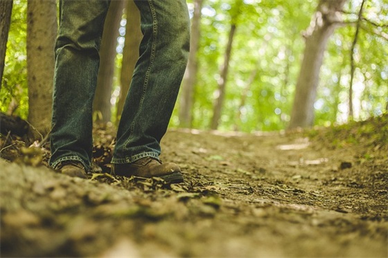 关于真诚的句子