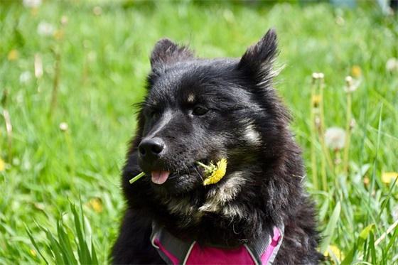 安全感的句子说说