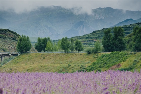 描写河的优美句子