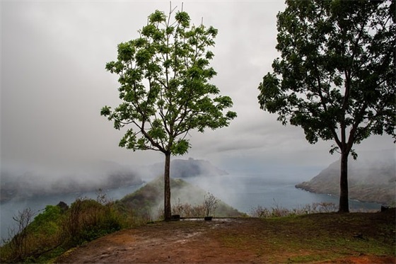 对象怀孕难受该怎么安慰的暖心句子(53句)