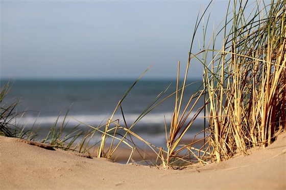 祝愿世界和平句子22条