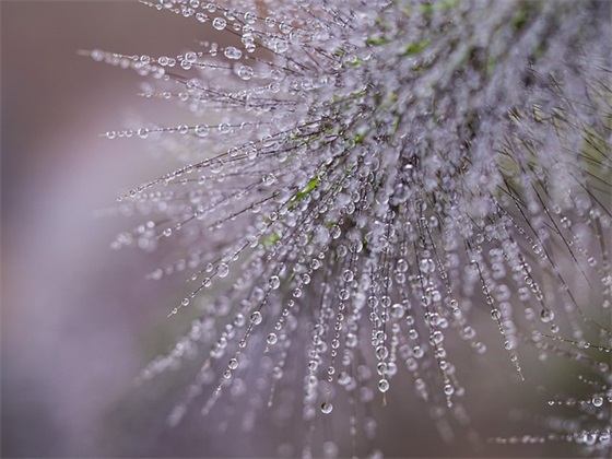 青春年华的句子_青春时光的句子