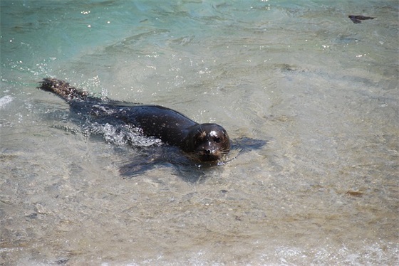超幸福的情侣句子