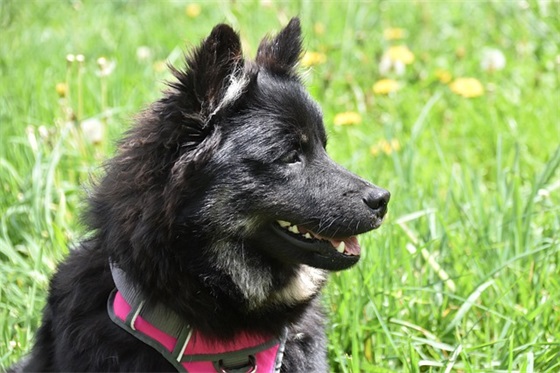 欺骗与谎言背叛的句子精选1486句